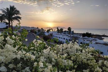 Domina Coral Bay Oasis 5*