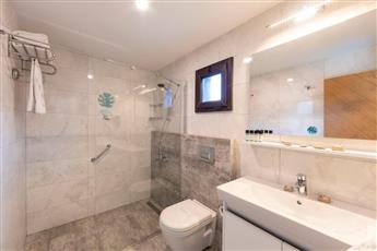 Dorman Suites Hotel 4*