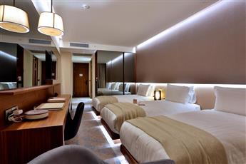 Dosso Dossi Hotels & Spa Downtown 5*