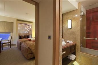 DoubleTree By Hilton Avanos Cappadocia 5*