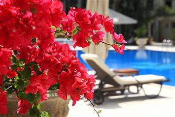 DoubleTree by Hilton Bodrum Marina Vista 4*