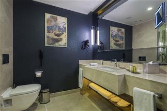 Doubletree By Hilton Istanbul Topkapi 5*