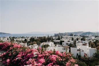 El Vino Hotel & Suites 4*