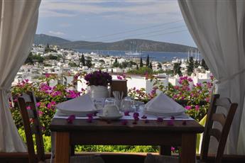 El Vino Hotel & Suites 4*