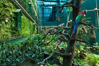 Elite World Grand Istanbul Basın Ekspres 5*