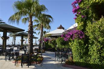 Emelda Sun Club