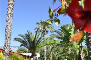Emelda Sun Club