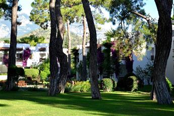 Emelda Sun Club
