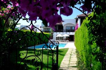 Emelda Sun Club