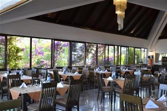 Emelda Sun Club