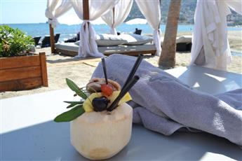 En Vie Beach Boutique Hotel - Adults Only 16+