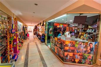 Ephesia Resort Hotel 4*