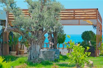 Feniks Priority Hotel 4* Adults only 12+