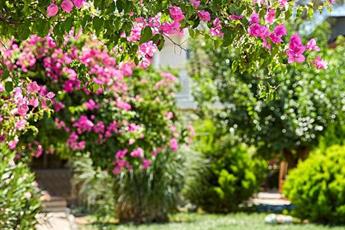 Fi Light Solto Boutique Beach 4*
