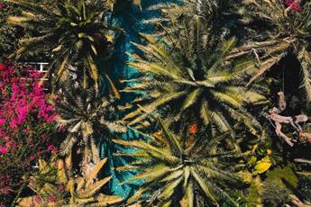 Flamingo Hotel & Spa 4* Pet Friendly