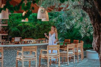 Flamingo Hotel & Spa - Pet Friendly