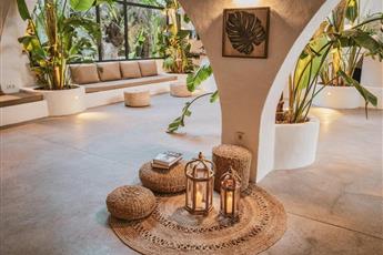Flamingo Hotel & Spa - Pet Friendly