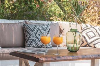 Flamingo Hotel & Spa - Pet Friendly