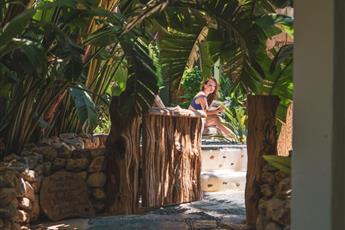 Flamingo Hotel & Spa - Pet Friendly
