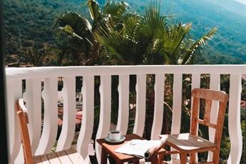 Flamingo Hotel & Spa - Pet Friendly