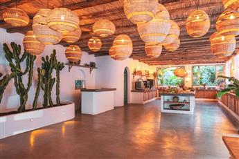 Flamingo Hotel & Spa - Pet Friendly