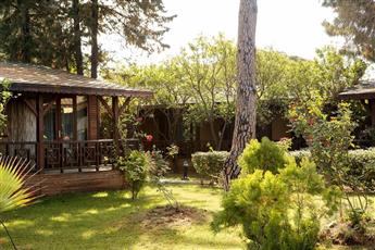 Flora Garden Beach 5* 16+