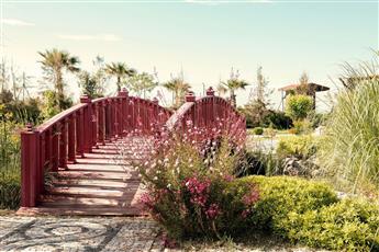 Flora Garden Beach 5* Adults Only 16+