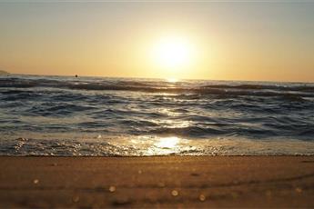 Flora Garden Ephesus 5*