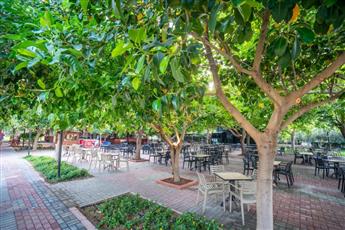 Gardenia Beach Hotel