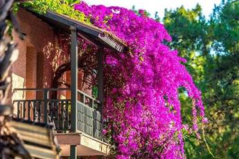 Grand Yazici Club Marmaris Palace 5* Grand Yazici Club Marmaris Palace 5*