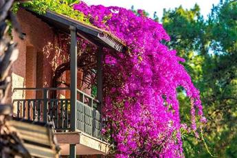 Grand Yazici Club Marmaris Palace