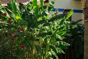 Green Anatolia Club Hotel