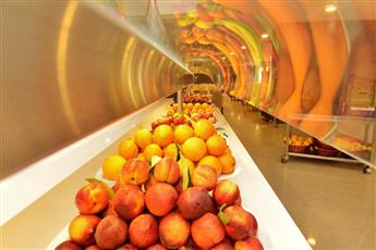 Green Nature Diamond Hotel 5*