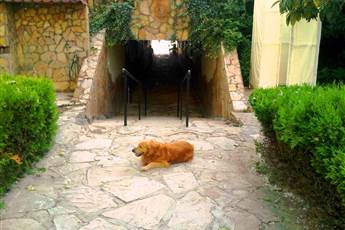 Green Peace Hotel 3*