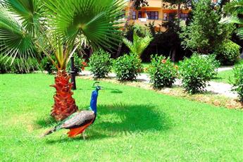Green Peace Hotel
