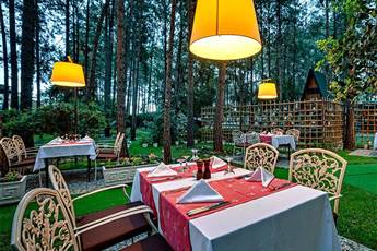 Gypsophila Club Marine 5*