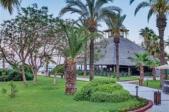 Gypsophila Club Marine 5*