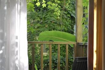 Gypsophila Club Marine 5*