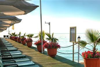 Gypsophila Club Marine