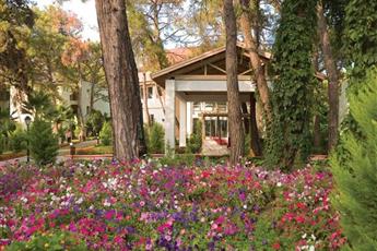 Gypsophila Club Marine