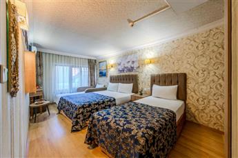 Hamit Hotel Istanbul 3*