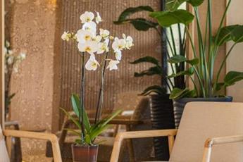 Heritage by Cimen Hotel 4*