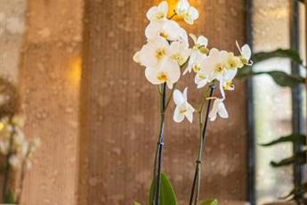 Heritage by Cimen Hotel 4*