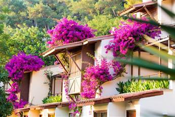 Hillside Beach Club 5*