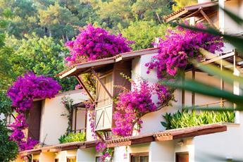 Hillside Beach Club