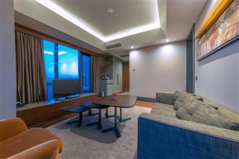 Hilton Garden Inn Istanbul Ataturk Airport 4*