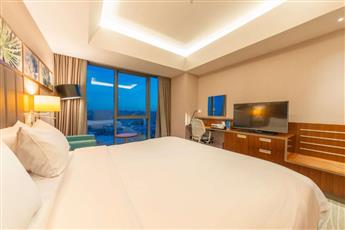 Hilton Garden Inn Istanbul Ataturk Airport 4*