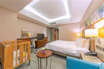 Hilton Garden Inn Istanbul Ataturk Airport 4*
