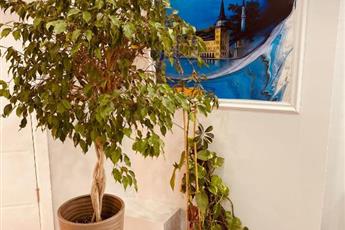 Hodegon Suite Hotel 4*