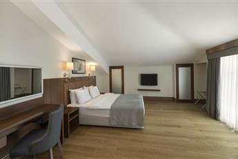 Holiday Inn Istanbul Old City 4*